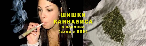 хмурый Арсеньев