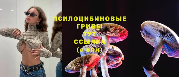 герыч Балахна