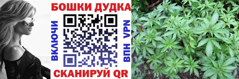 наркотики  Вытегра  Марихуана Bruce Banner 